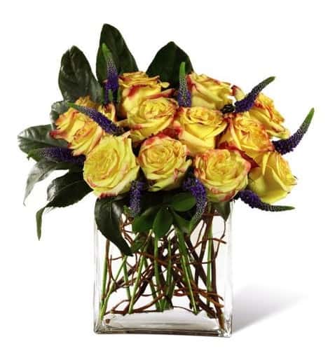 Yellow bi-color roses flaunt a blushing edge to each petal accented with purple veronica, aralia leaves, and curly willow tips to give this fresh flower arrangement a look like none other. Presented in a clear glass rectangular vase, giving it a modern feel, this rose bouquet is set be sent in honor of a birthday, or to express your get well or thank you wishes. GOOD bouquet includes 8 stems.