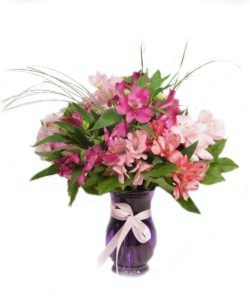 Want to keep it simple?  Send our Cheerful arrangement that is completely made out of Alstroemeria lilies!  There are assorted colors that are perfectly placed in a simple glass vase!!